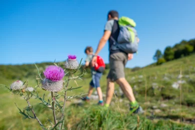 Caminando bajo el sol: el senderismo en verano